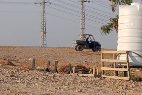 منظمة البيدر: مستعمرون يقتحمون عرب المليحات ويحصون أغنام المواطنين.