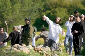مستوطنون يهاجمون مركبات المواطنين في المعرجات شمال غرب أريحا