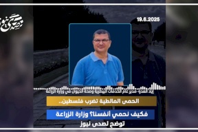 الحمى المالطية تضرب فلسطين.. فكيف نحمي أنفسنا؟ وزارة الزراعة توضح لصدى نيوز