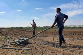 فاو: الحرب الإسرائيلية قضت على الزراعة في غزة