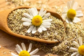 طبيب يوصي بشرب شاي البابونج قبل النوم.. لهذه الأسباب