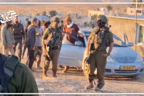 هجوم استيطاني واسع على التوانة اقتحام منازل وسرقة مواشٍ وإصابات بين الأهالي