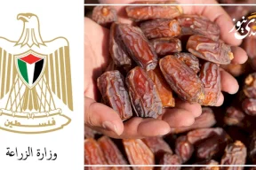 L'agriculture prend une série de mesures pour réguler le secteur des dattes en Palestine