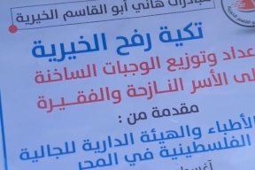الجالية واتحاد أطباء فلسطين في المجر ينجحون في إيصال  بعض المساعدات لأبناءنا في قطاع غزة