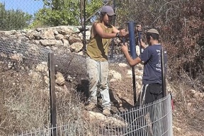 "الأونروا": تصاعد عنف المستعمرين في الضفة إلى أعلى مستوى منذ أكثر من عقد