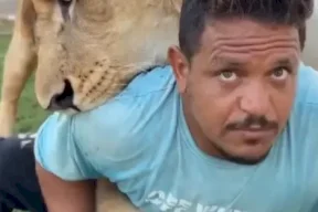 تجميد أموال وممتلكات شخص قام بترويع عامل مصري بأسد