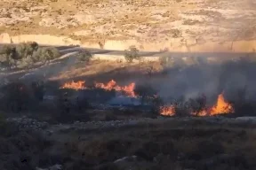 Colonists Burn Agricultural Land in Sa'ir Town Northeast of Hebron