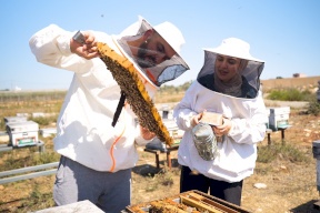 "Andalusian Apiaries": The Story of a Couple Who Shared Life and Success Together