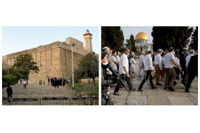 Les "Waqfs": l'occupation a envahi Al-Aqsa 26 fois et a interdit l'appel à la prière à la mosquée Ibrahimi 92 fois le mois dernier