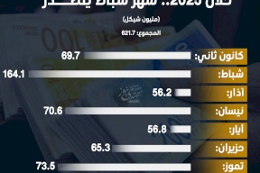 ضريبة الدخل في فلسطين خلال 2025.. شهر شباط يتصدر