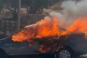 Attacks by Settlers in Various Areas of Ramallah