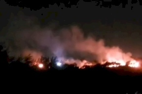 مستعمرون يحرقون أشجار زيتون في مجدل بني فاضل جنوب نابلس