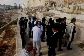 مجلس الإفتاء الأعلى يدعو إلى نجدة مقبرة باب الرحمة بالقدس