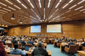 الأمم المتحدة في فيينا تستضيف الفعالية السنوية لإحياء اليوم الدولي للتضامن مع الشعب الفلسطيني