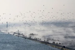 اليابان تحذر من تسونامي بعد زلزال بقوة 7.6 درجات