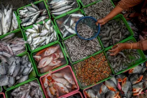 هل تحسن الحمية الإسكندنافية صحة القلب والكبد؟