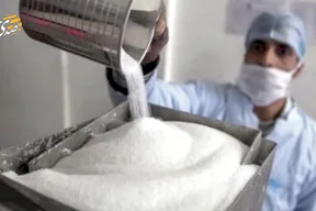 خسائر فادحة رغم طفرة الإنتاج.. لماذا تنزف مصانع السكر في مصر؟