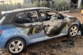 إصابات وإحراق مركبات في هجوم للمستعمرين على دير شرف