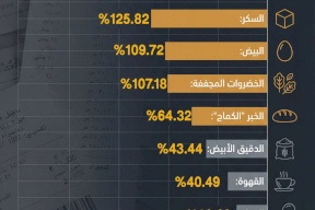 سلع أساسية تقفز بمؤشر غلاء المعيشة في فلسطين خلال 2025