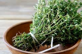 الزعتر يدخل عصر "الطب الحديث" 