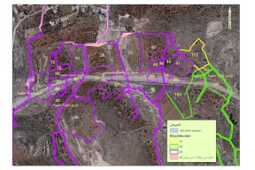 قرار عسكري إسرائيلي لإزالة أشجار 35 دونماً بكفر مالك شرق رام الله