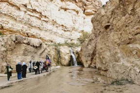 اكتشف الجنوب التونسي.. رحلة مثيرة في الصحراء والنكهات والذاكرة