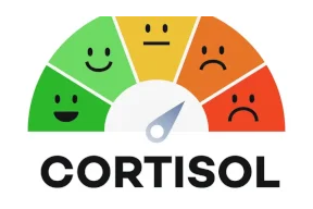 "كذبة" الكورتيزول تجتاح مواقع التواصل.. وتتصدر الترند