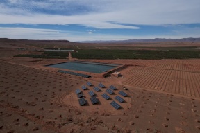 شركة النبالي والفارس تعلن إطلاق مشروعها الاستثماري الزراعي الجديد “تالا” 