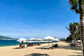 العصر الذهبي لفيتنام.. لماذا تزدهر سياحتها بينما يعاني جيرانها؟