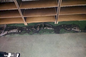 Awqaf Ministry Condemns Attempts by Settlers to Burn Mosque in Nablus