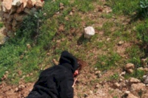 إصابة متضامنين أجنبيين في هجوم للمستعمرين على قصرة جنوب نابلس