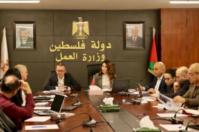 وزيرة العمل تبحث مع برنامج الأمم المتحدة الإنمائي تعزيز جهود التشغيل والتعافي الاقتصادي