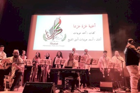 الجالية الفلسطينية في النمسا تحيي الذكرى الخمسون ليوم الأرض 