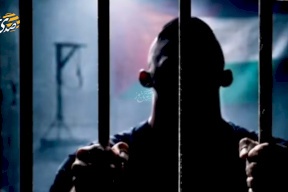 Journée du prisonnier : Message d'activistes hongrois diffusé par l'ambassade de l'État de Palestine