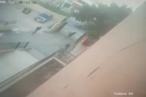 مستوطن مسلح يقتحم مدرسة جنوب جنين (فيديو)