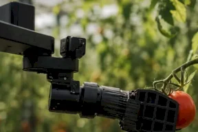 Egrobots, la startup égyptienne, dévoile le premier robot autonome pour la récolte agricole