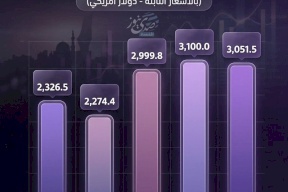 تقلبات نصيب الفرد من الناتج المحلي الفلسطيني (2021-2025)