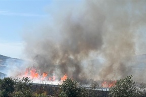 מתיישבים שורפים שטחים חקלאיים בדרום NABLUS
