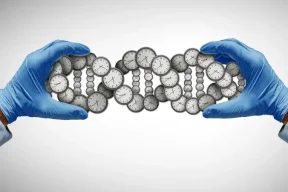 علماء: بعض الخلايا "الزومبية" ربما تساهم في إطالة العمر