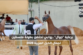 برعاية "جوال".. روابي تحتضن بطولة فلسطين لجمال الخيل العربية 2026