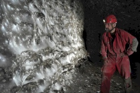 يمكنها اصطياد حوت.. 111 ألف عنكبوت تبني أكبر شبكة عرفها العالم
