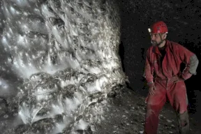 It Can Catch a Whale.. 111,000 Spiders Build the Largest Web Known to the World