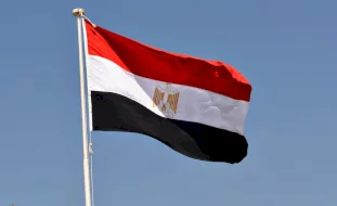 نائبة مصرية تثير الجدل: على الدولة اتخاذ خطوات رادعة لمن ينجب أكثر من طفلين (فيديو)