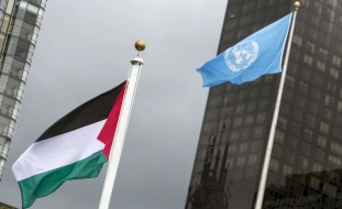 الأمم المتحدة: نداء إنساني بقيمة نصف مليار دولار لفلسطين المحتلة