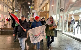بالصور| تظاهرة حاشدة في فيينا تنديداً بالعدوان الإسرائيلي على جنين