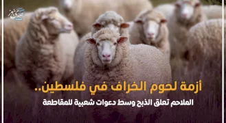 أزمة لحوم الخراف في فلسطين.. الملاحم تعلق الذبح وسط دعوات شعبية للمقاطعة