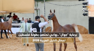 برعاية "جوال".. روابي تحتضن بطولة فلسطين لجمال الخيل العربية 2026