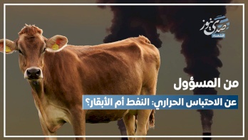 من المسؤول عن الاحتباس الحراري: النفط أم الأبقار؟