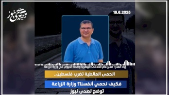 الحمى المالطية تضرب فلسطين.. فكيف نحمي أنفسنا؟ وزارة الزراعة توضح لصدى نيوز