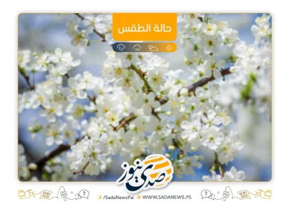 الطقس: أجواء غائمة جزئياً إلى صافية